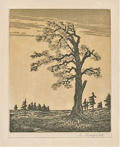Albert Banska : Baum im Wind - Farbholzschnitt / Antiquariat Steutzger / Wasserburg am Inn & Buch am Buchrain