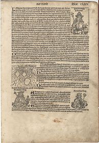 Kaiser & Päbste : Blatt mit Holzschnitten aus der Schedelschen Weltchronik, 1493 (dt. Ausgabe) / Joseph Steutgzer / Antiquariat / Buch am Buchrain & Wasserburg am Inn