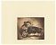 Dorul van der Heide (1903-1994) : Tauromachie (Corrida/Stierkampf). - Radierzyklus mit 14 Blättern in Weichgrundätzung (Vernis mou), in Braun gedruckt. - Joseph Steutzger / Buch am Buchrain & Wasserburg am Inn