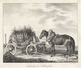 Oestereichische Kohlenfuhre, Lithographie v. Velten. - Joseph Steutzger / Antiquariat / Buch am Buchrain & Wasserburg am Inn