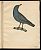 Leopold Johann Billek : Abbildung der Singvögel. Passeres. - 32 Aquarelle/ Vogelabbildungen, 1838. - Antiquariat Joseph Steutzger / Buch am Buchrain / Wasserburg am Inn